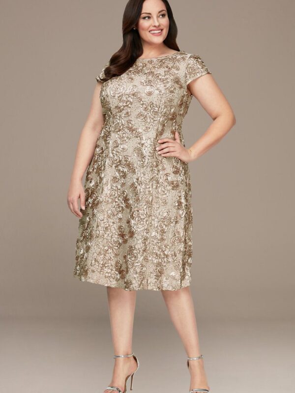 Short Plus Size A-Line Dress with Cap Sleeves Alex Evenings 4121570