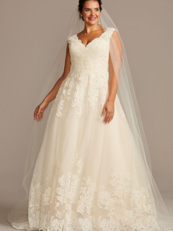 Scallop V-Neck Lace Tulle Plus Size Wedding Dress Collection 4XL9WG3850