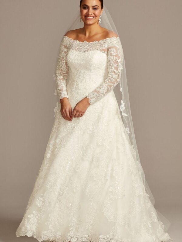 Off-The-Shoulder Plus Size A-Line Wedding Dress  8CWG765