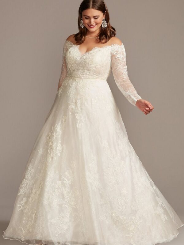 Shimmer Lace Applique Plus Size Wedding Dress  8CWG853