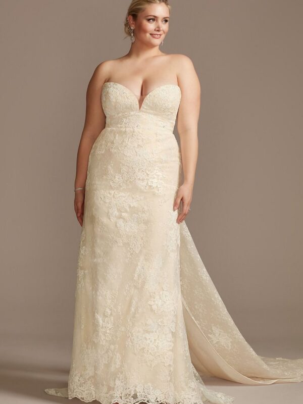 Lace Removable Bow Train Plus Size Wedding Dress  8CWG880