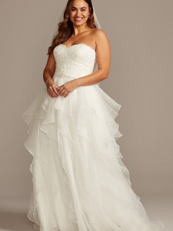 Lace and Organza Plus Size Ball Gown Wedding Dress Collection 9WG3830