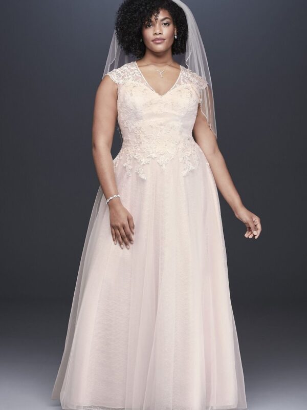 Tulle-Over-Lace Plus Size A-Line Wedding Dress Collection 9WG3859