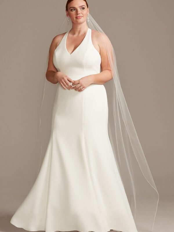 Sheer Back Plus Size Wedding Dress with Lace Train Collection 9WG3989