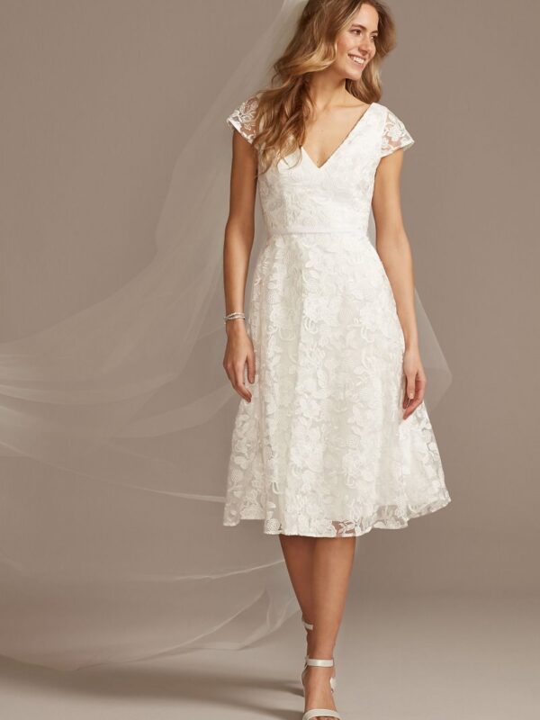 V-Neck Embroidered Lace Cap Sleeve A-Line Dress SDWG0804