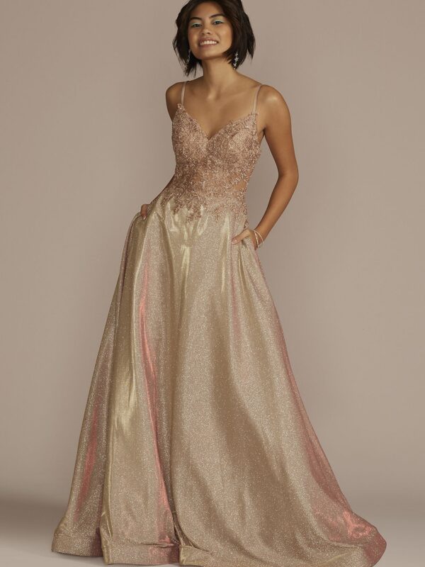 Iridescent Ball Gown with Illusion Lace Applique WBM3512