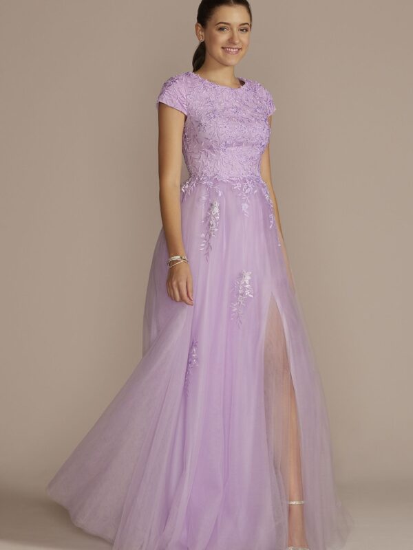 Cap Sleeve Embroidered Lace Tulle Ball Gown WBM3735