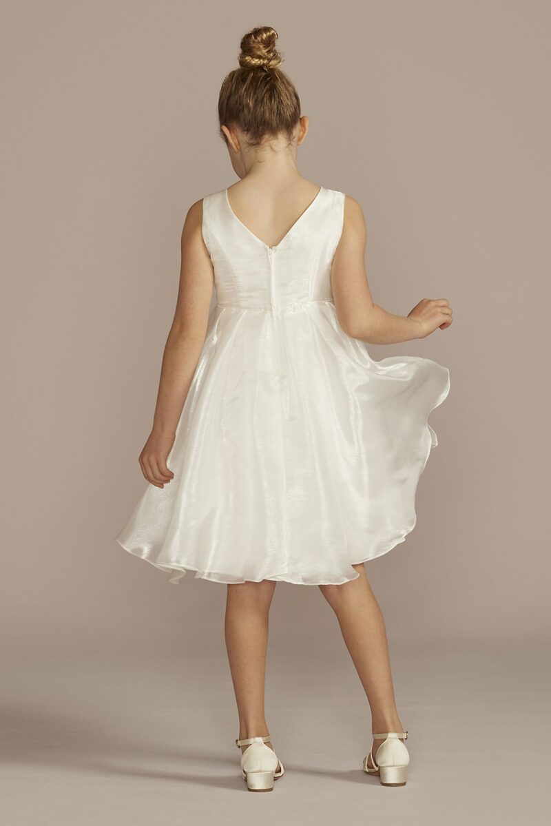 Sleeveless V-Neck Organza A-Line Flower Girl Dress WG1472